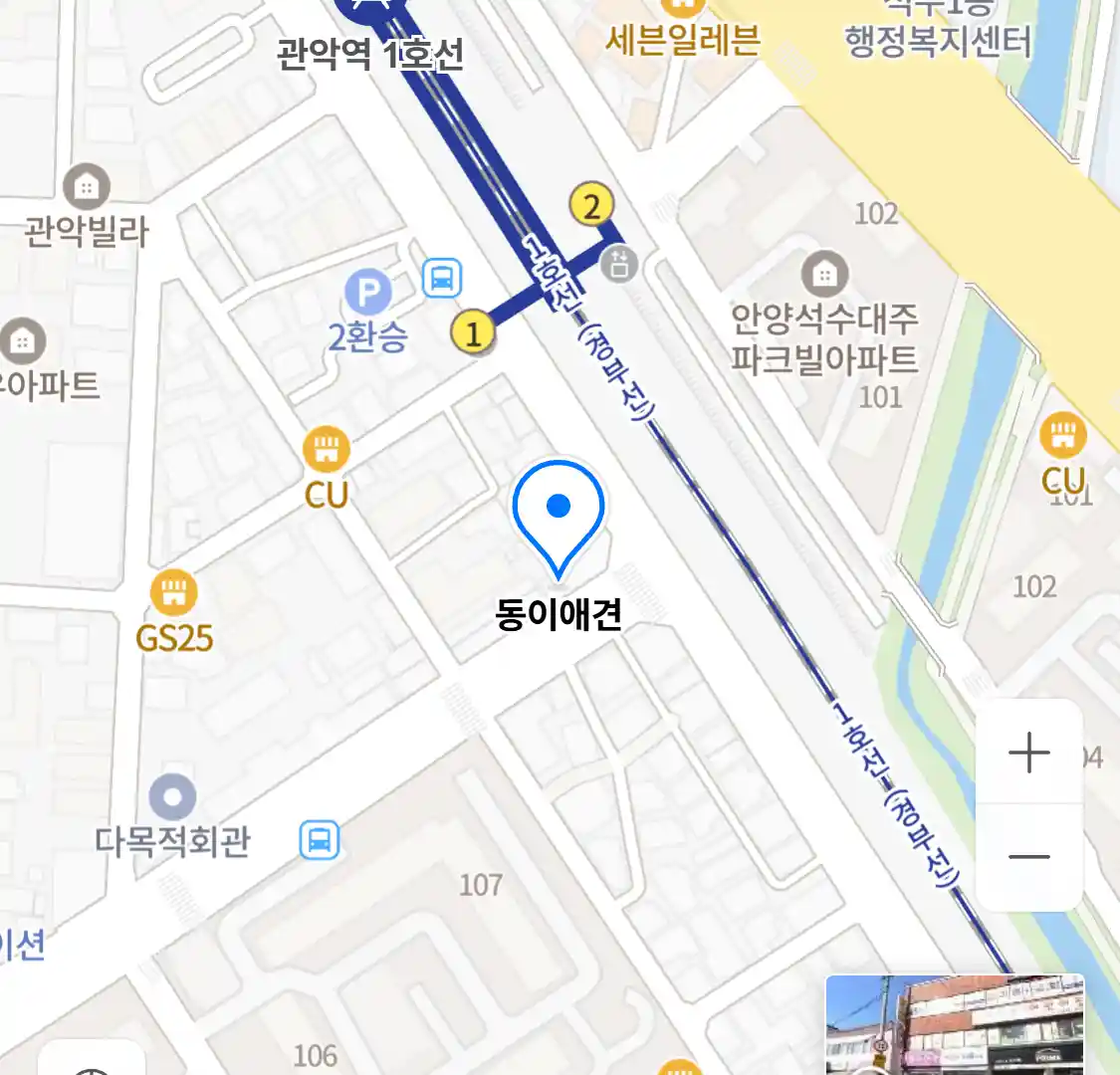 동이애견