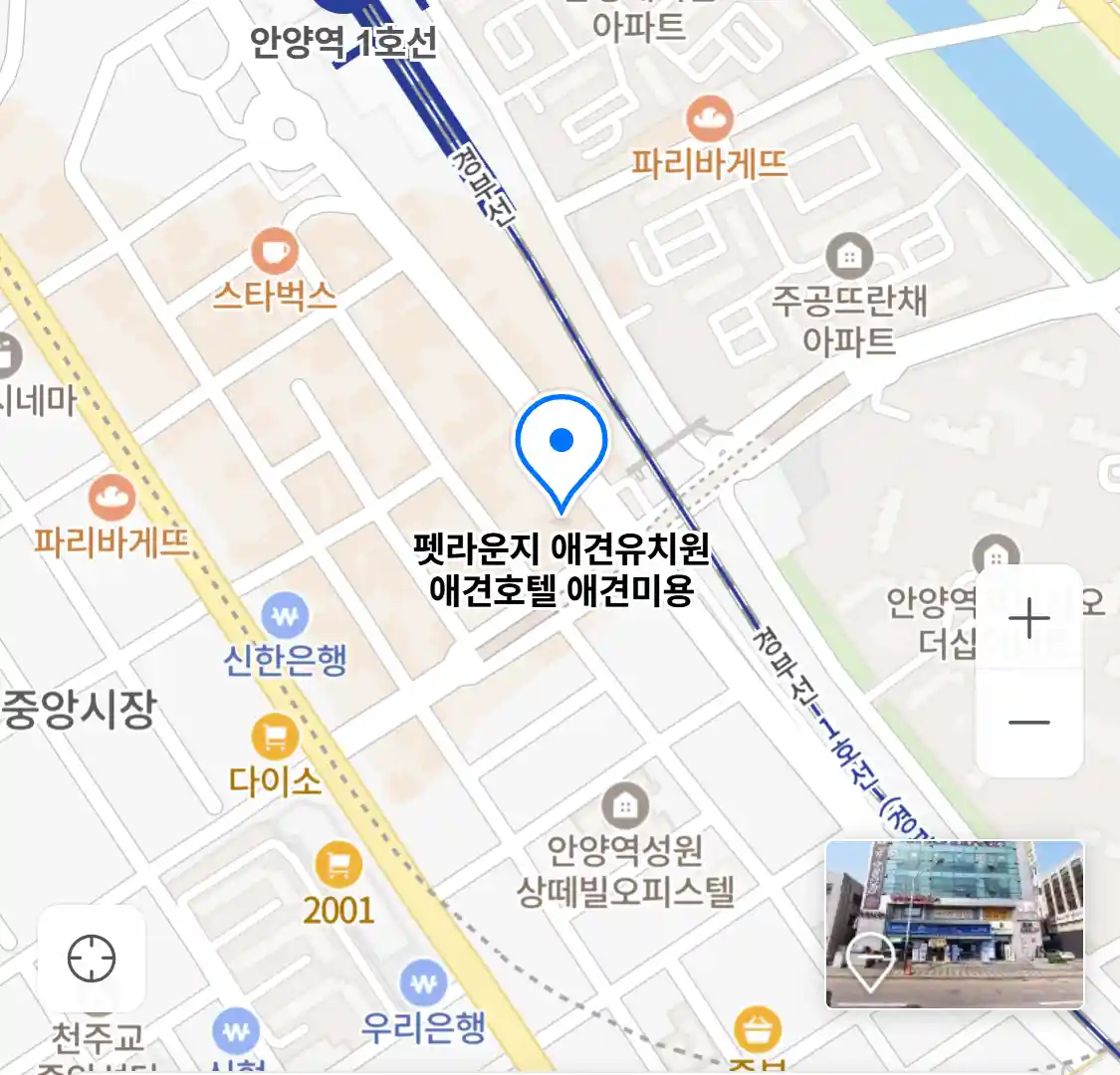 펫라운지 애견유치원 애견호텔 애견미용