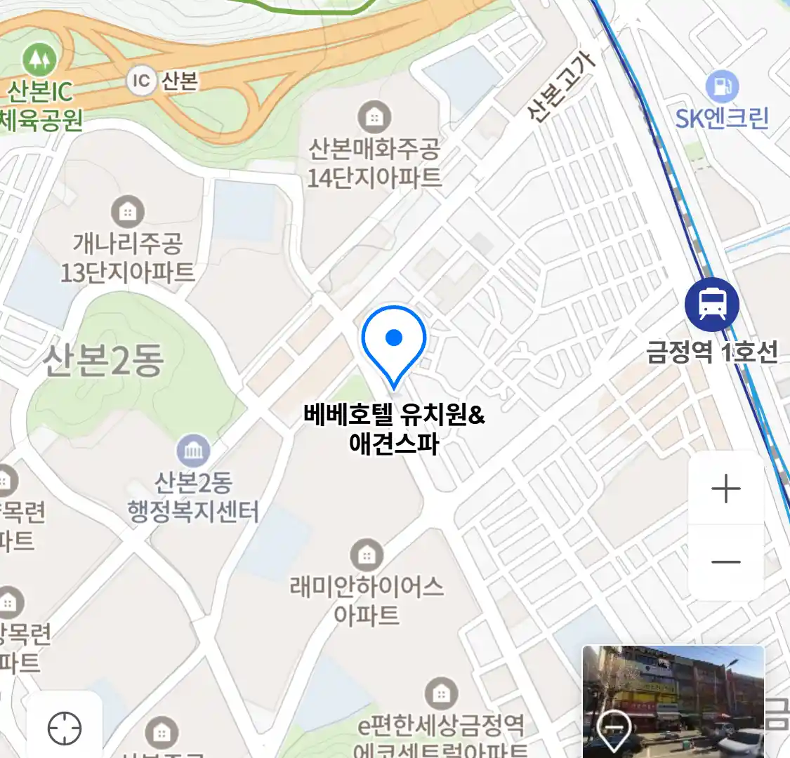 베베호텔 유치원&애견스파