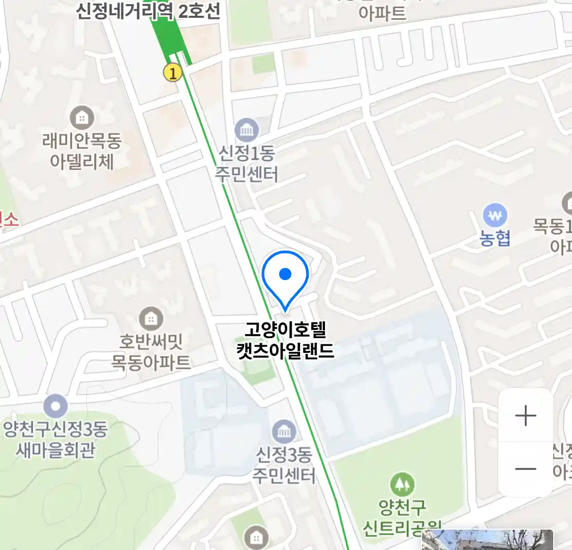 고양이호텔 캣츠아일랜드
