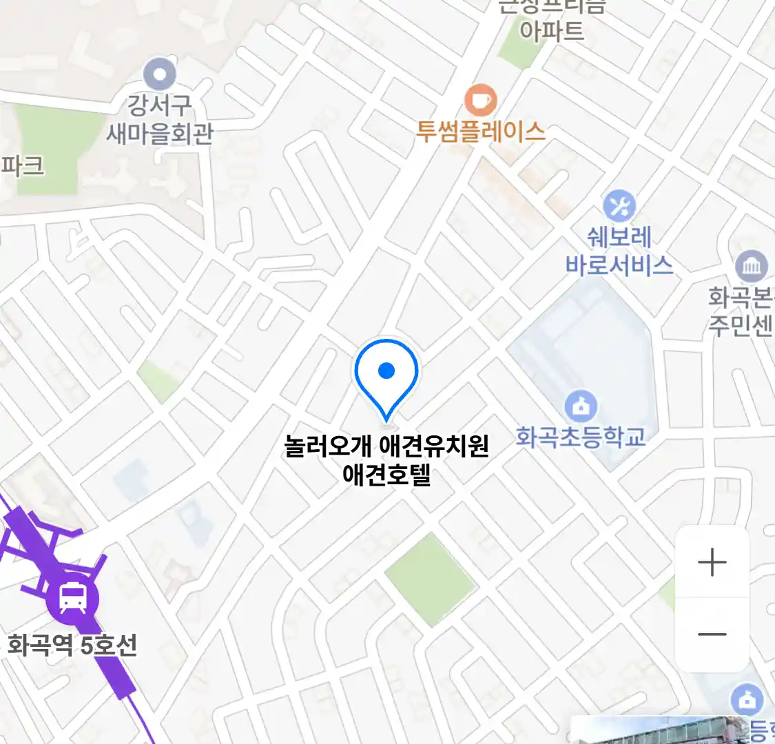 놀러오개 애견유치원 애견호텔