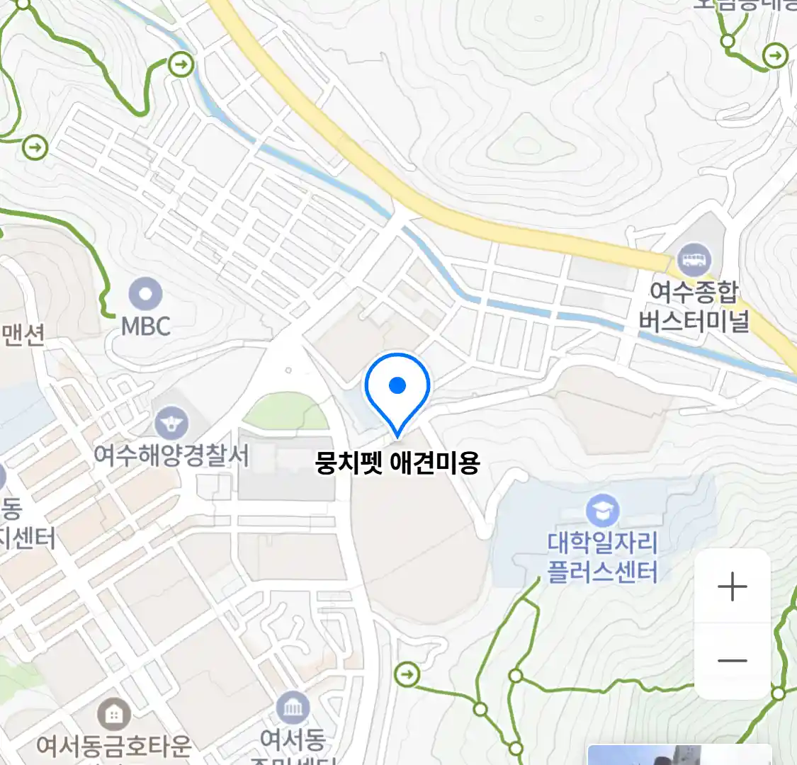뭉치펫 애견미용