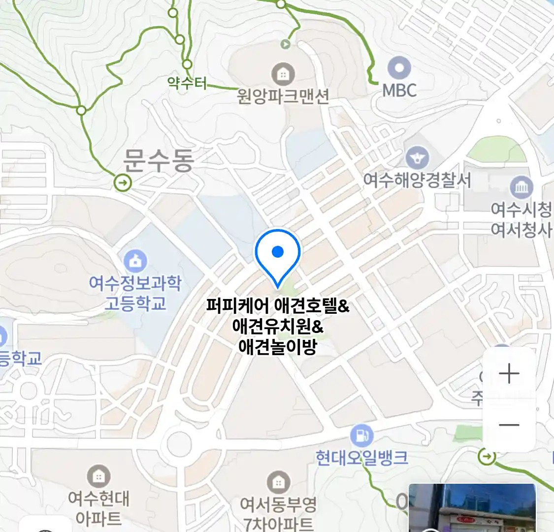 퍼피케어 애견호텔&애견유치원&애견놀이방