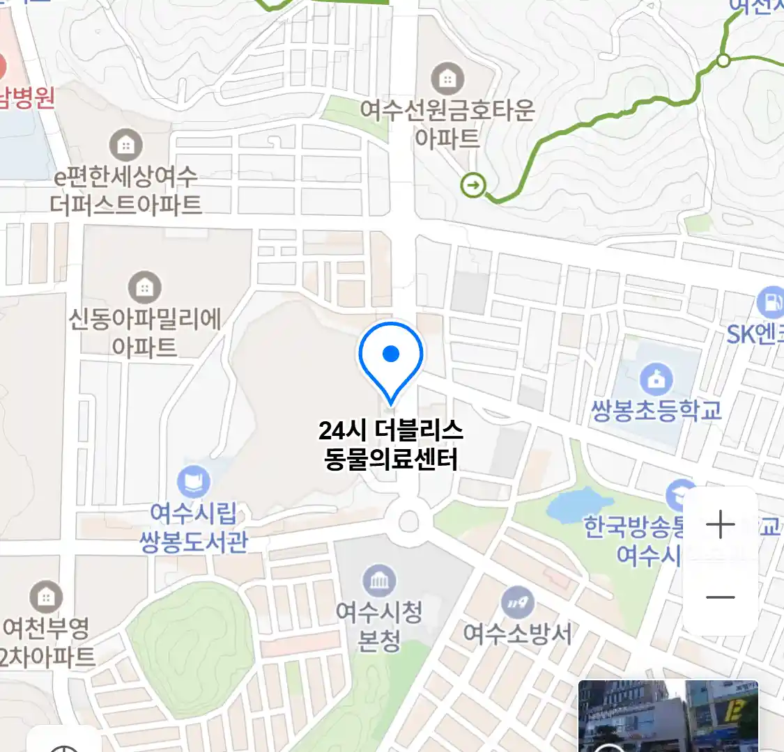24시 더블리스 동물의료센터