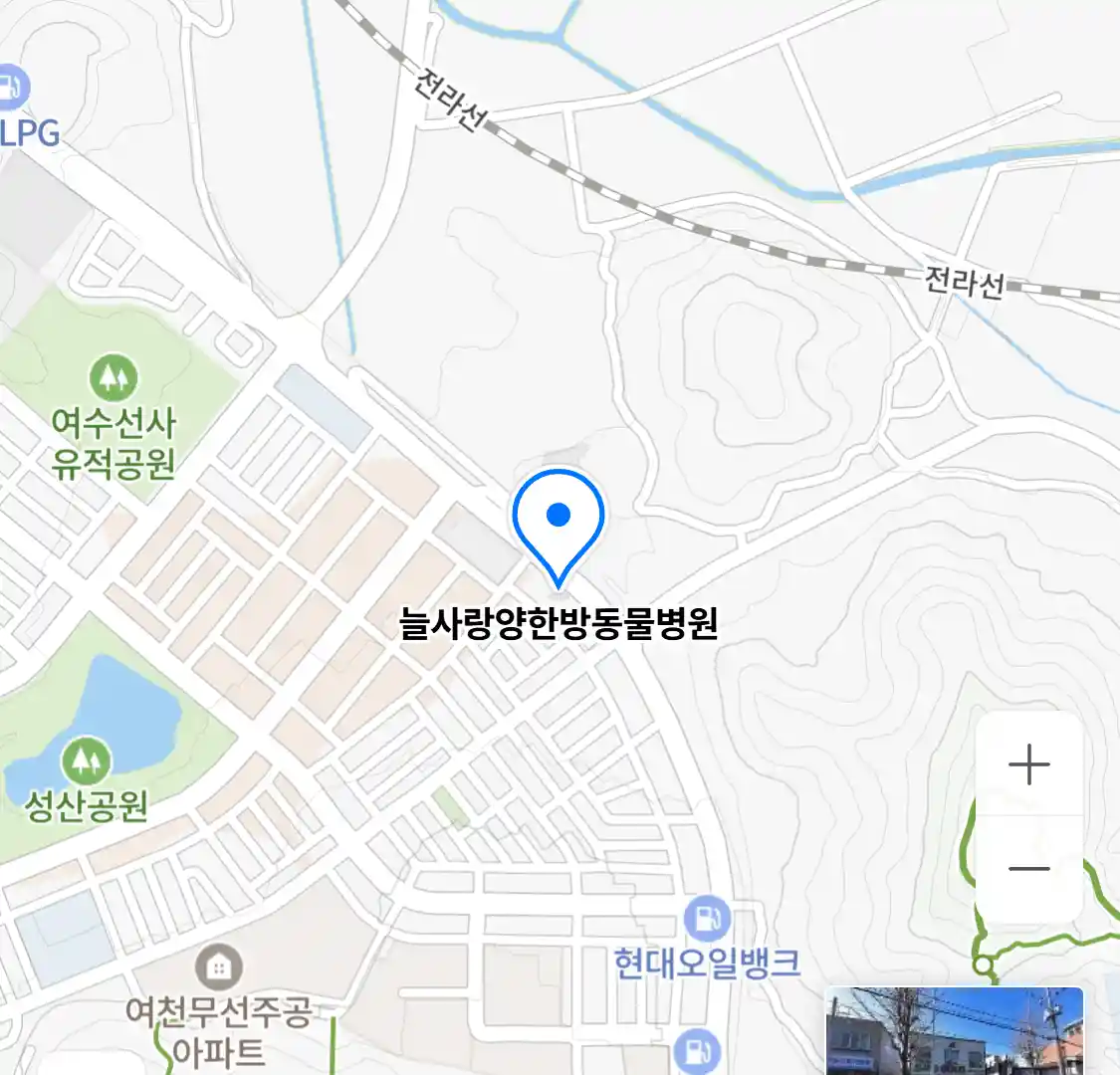 늘사랑양한방동물병원