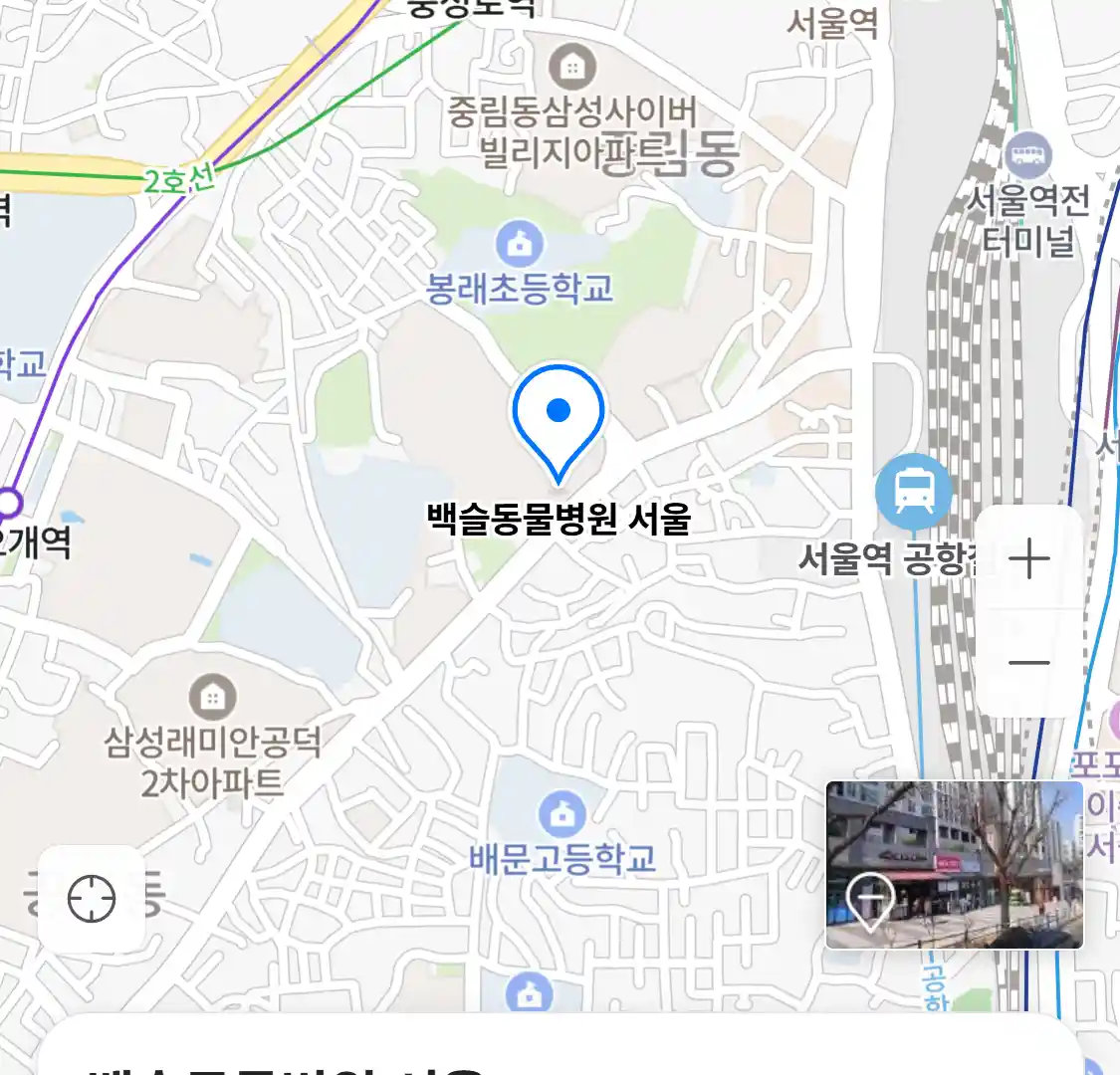 백슬동물병원 서울
