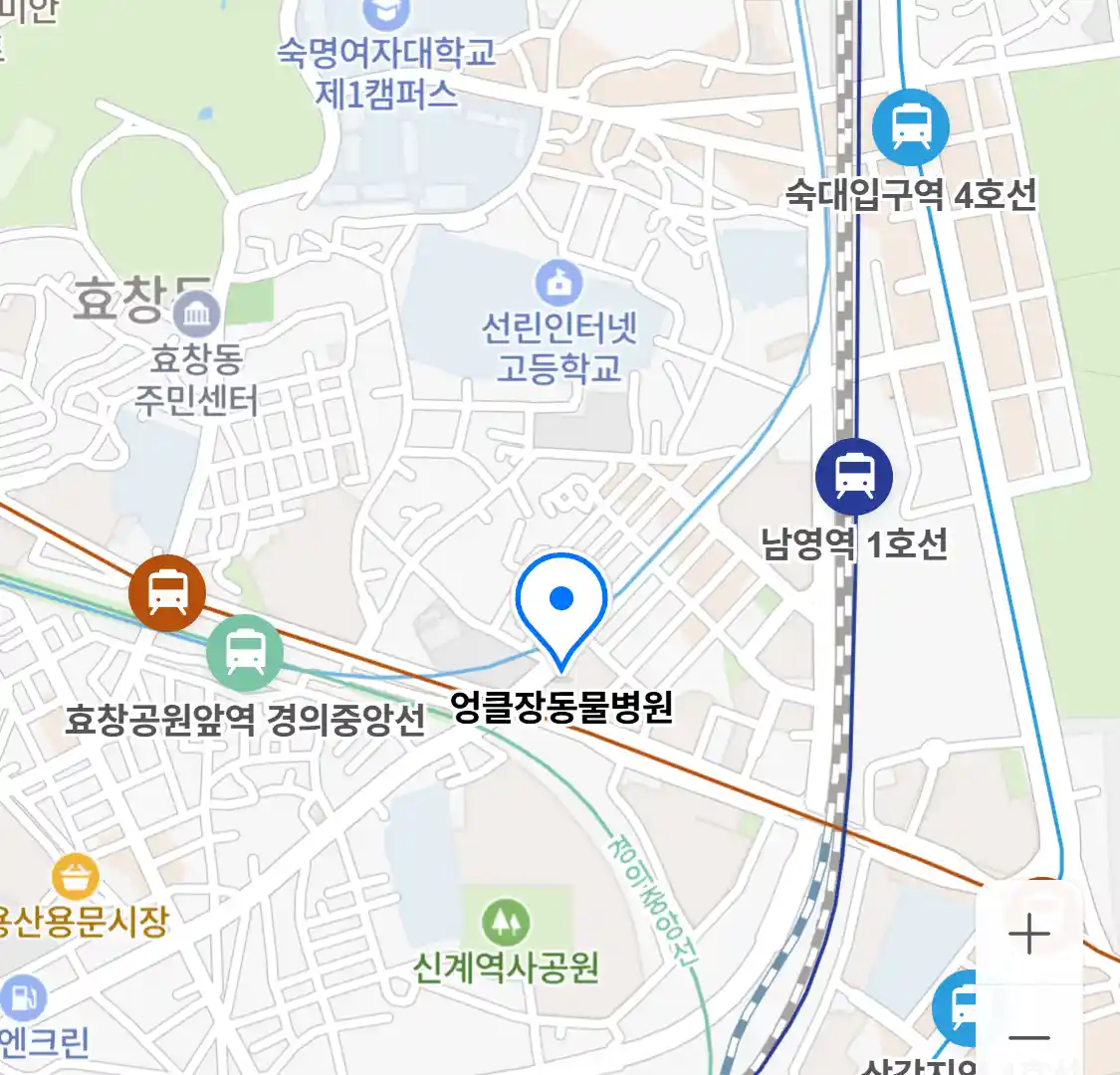 엉클장동물병원