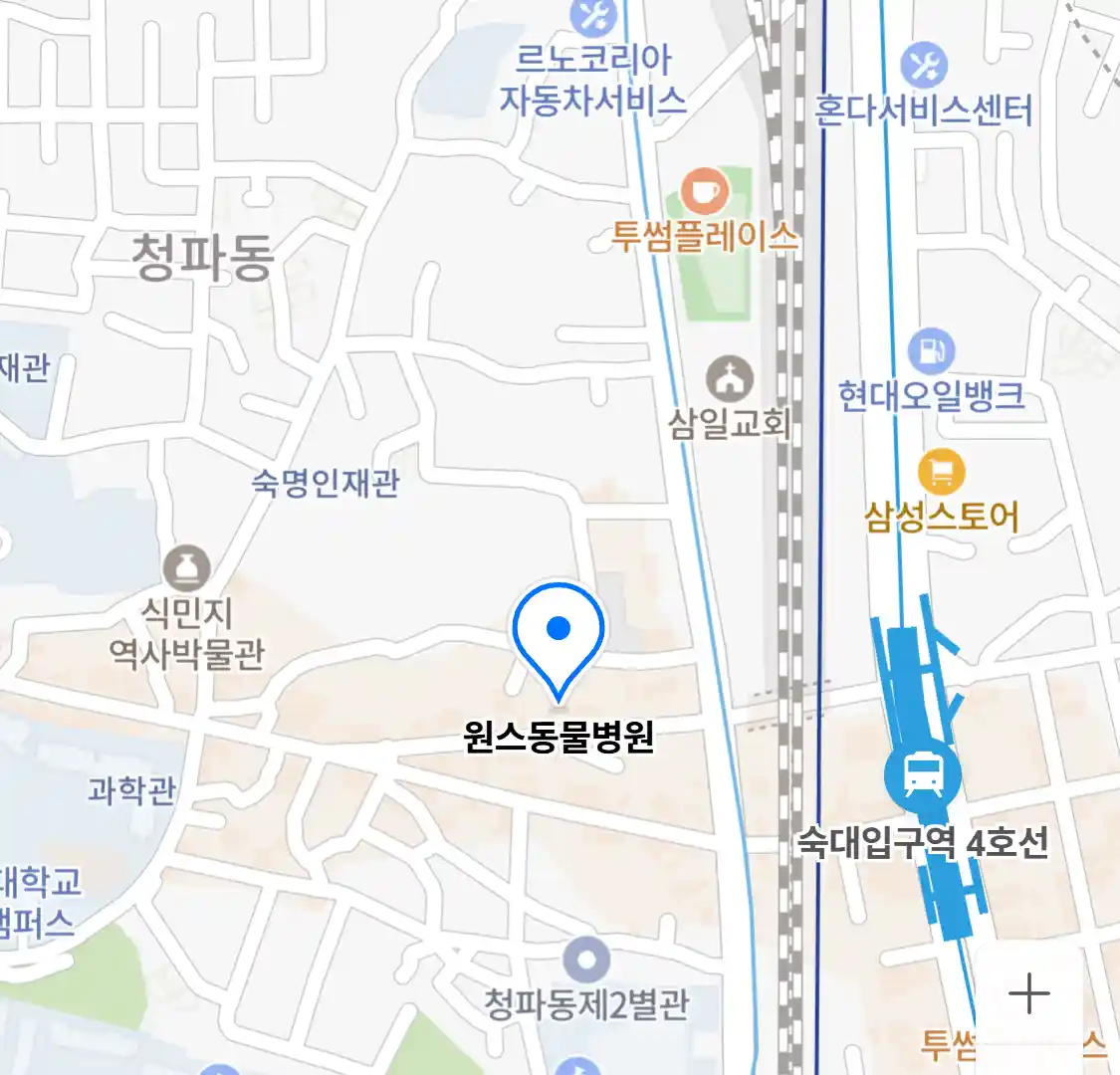 원스동물병원