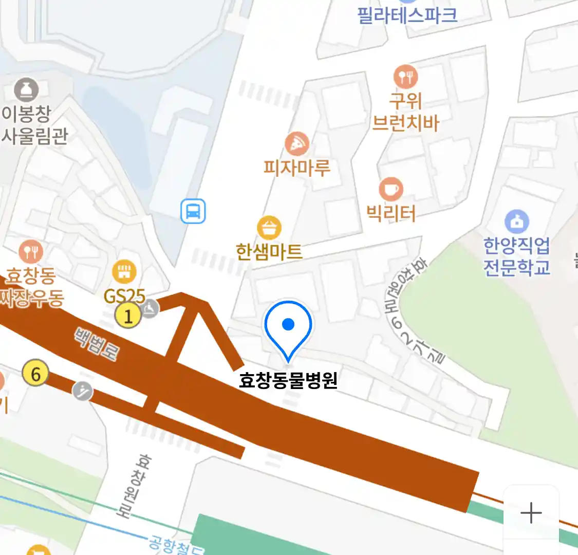 효창동물병원
