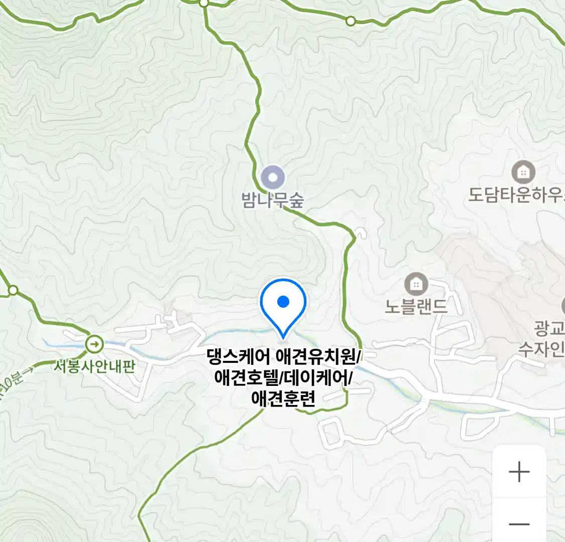 댕스케어 애견유치원/애견호텔/데이케어/애견훈련