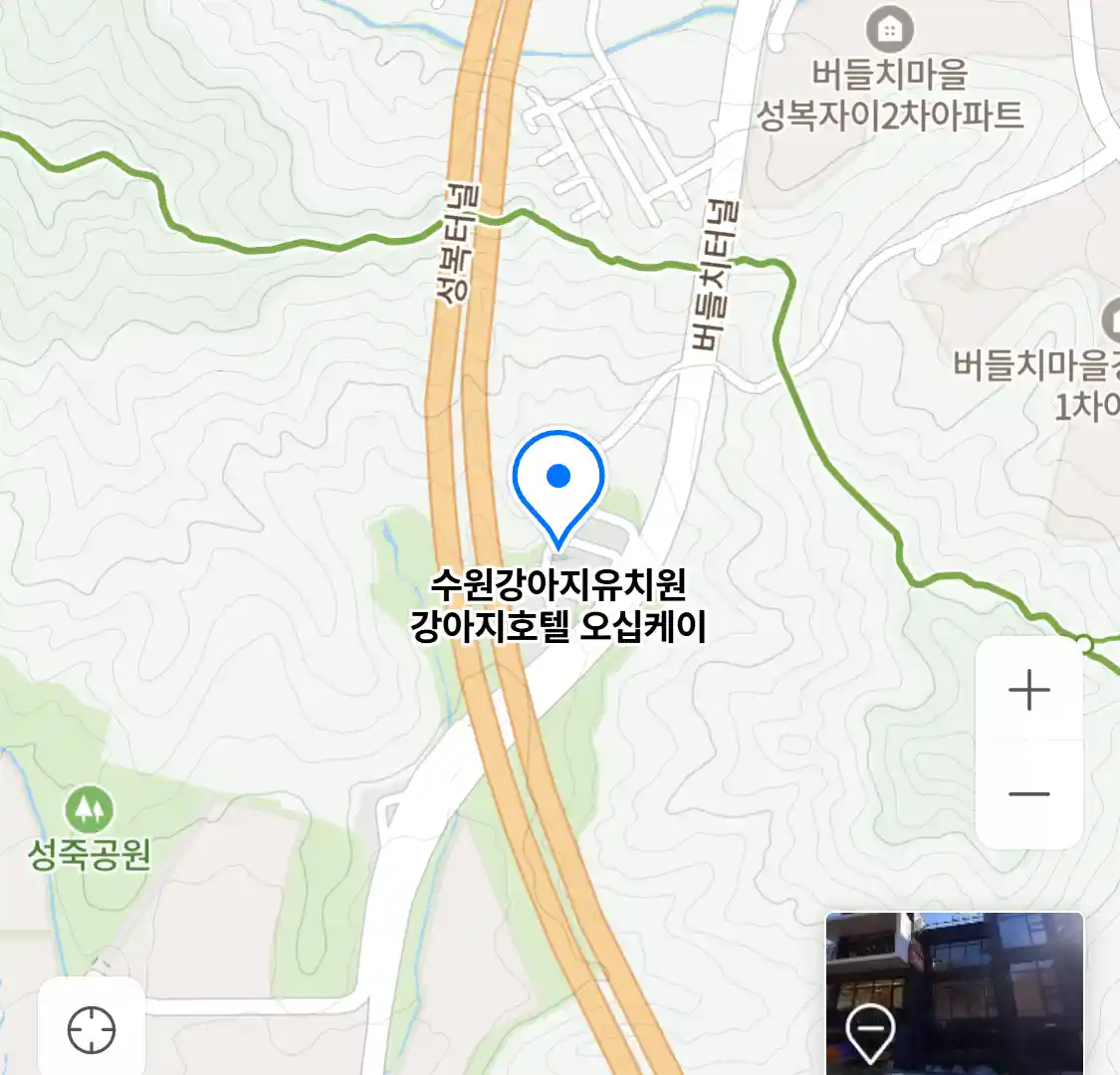 수원강아지유치원 강아지호텔 오십케이