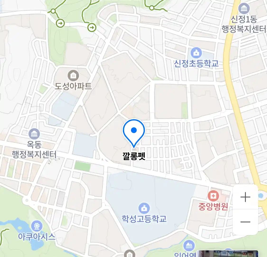 깔롱펫