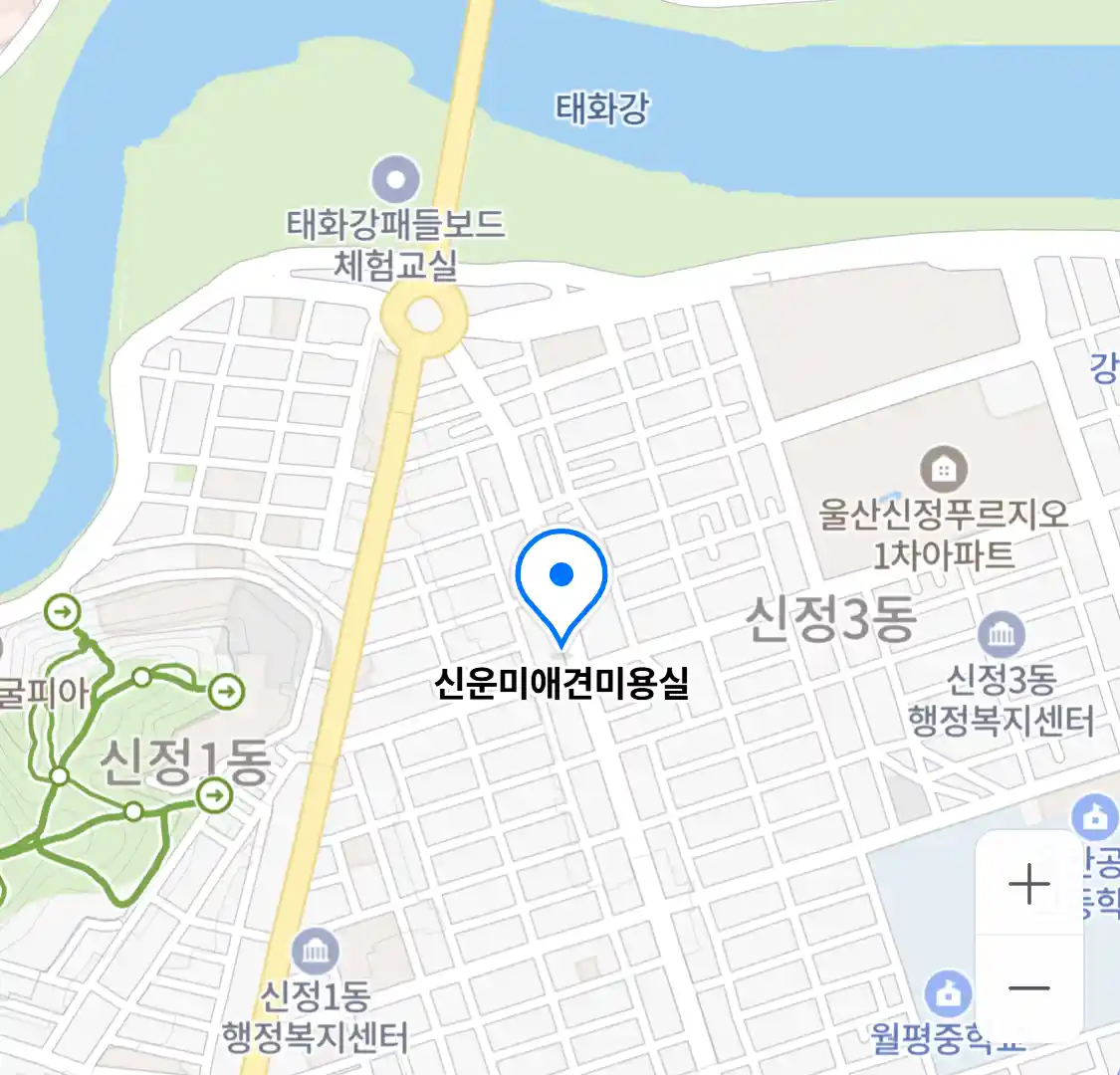 신운미애견미용실