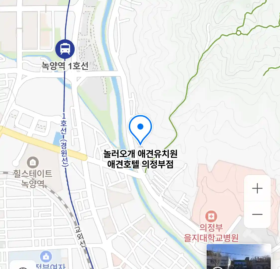 놀러오개 애견유치원 애견호텔 의정부점