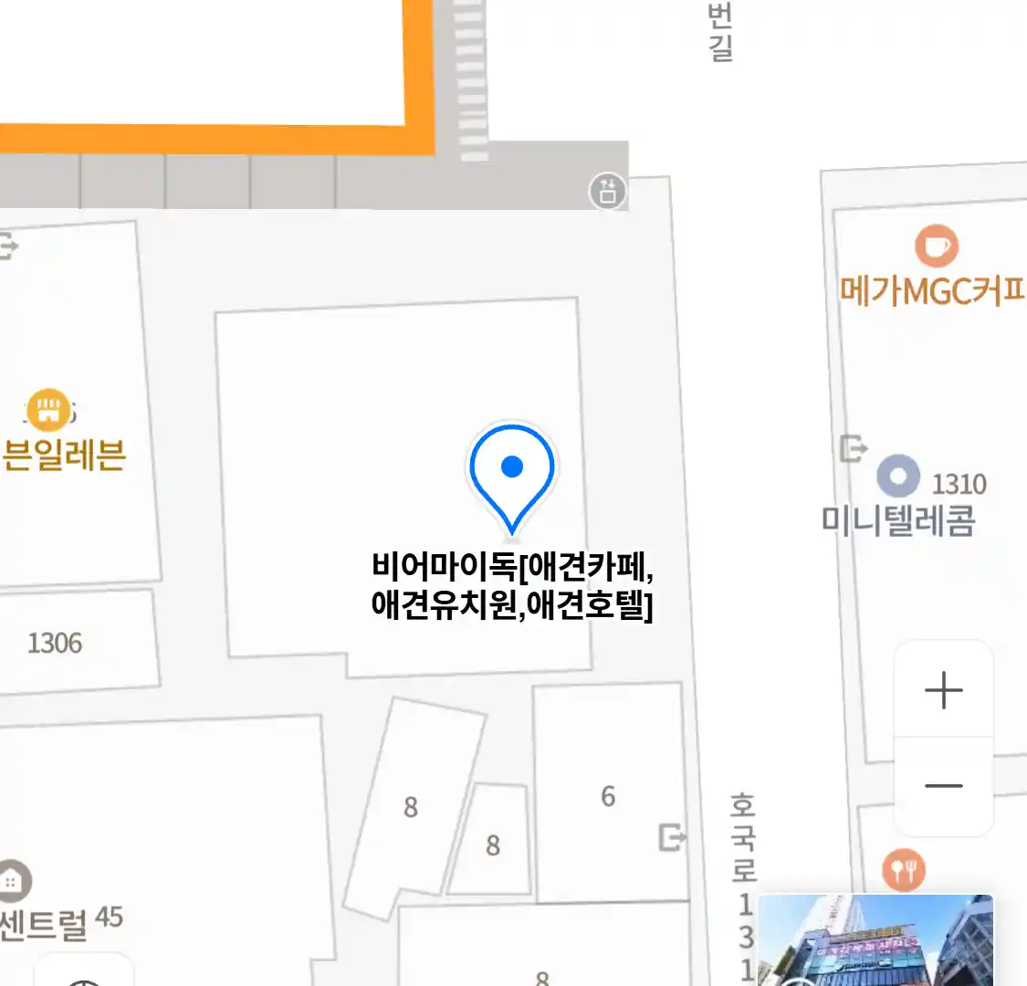 비어마이독[애견카페,애견유치원,애견호텔]