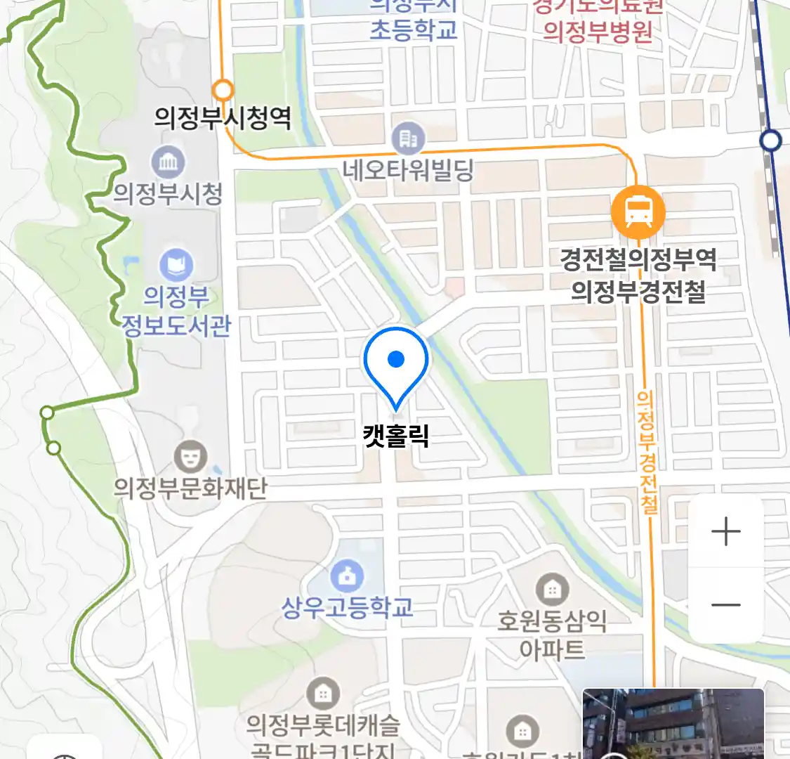 캣홀릭