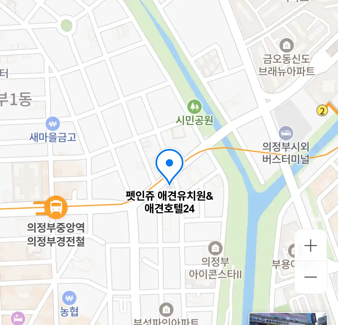 펫인쥬 애견유치원&애견호텔24