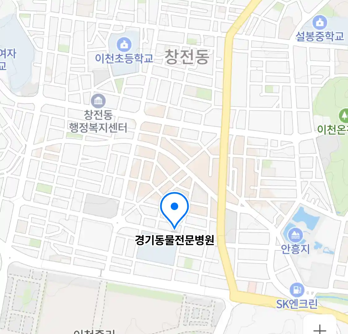 경기동물전문병원