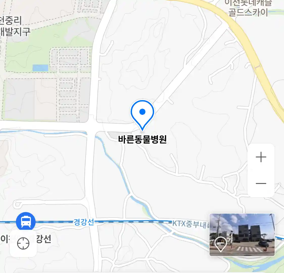 바른동물병원