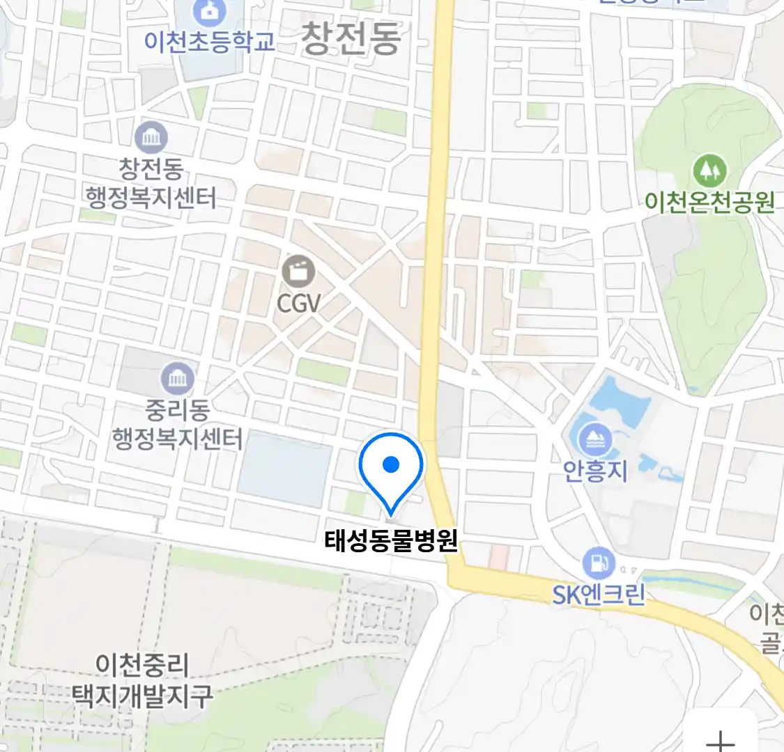 태성동물병원