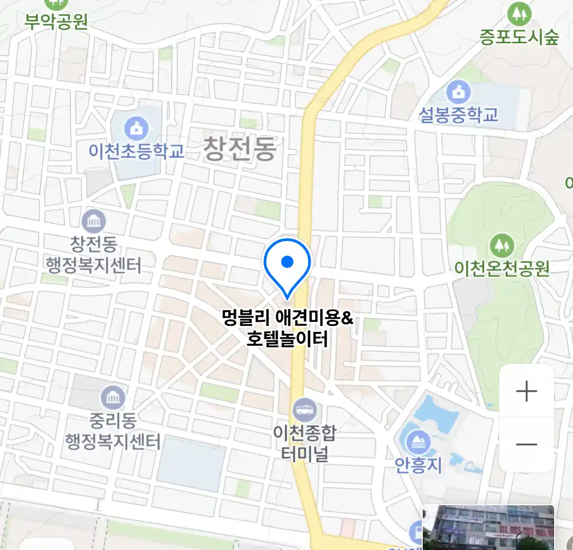 멍블리 애견미용&호텔놀이터