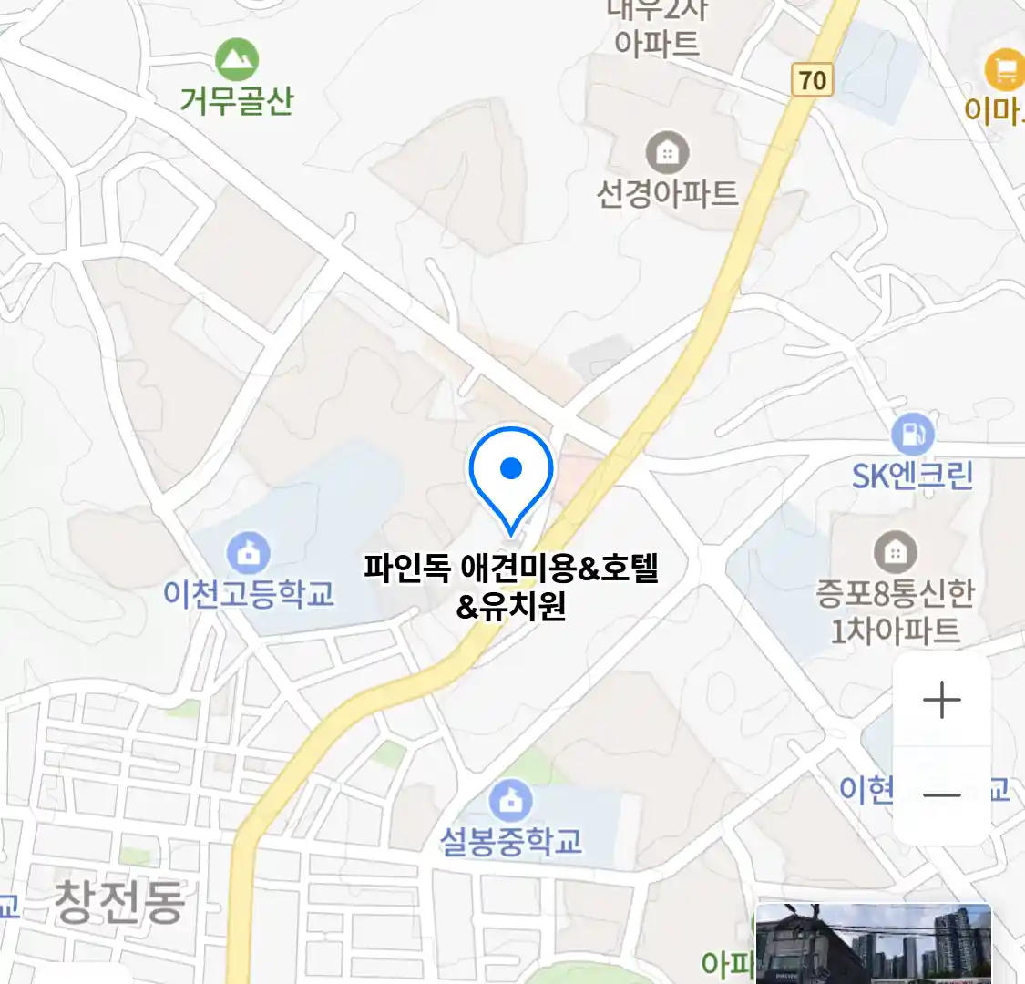 파인독 애견미용&호텔&유치원