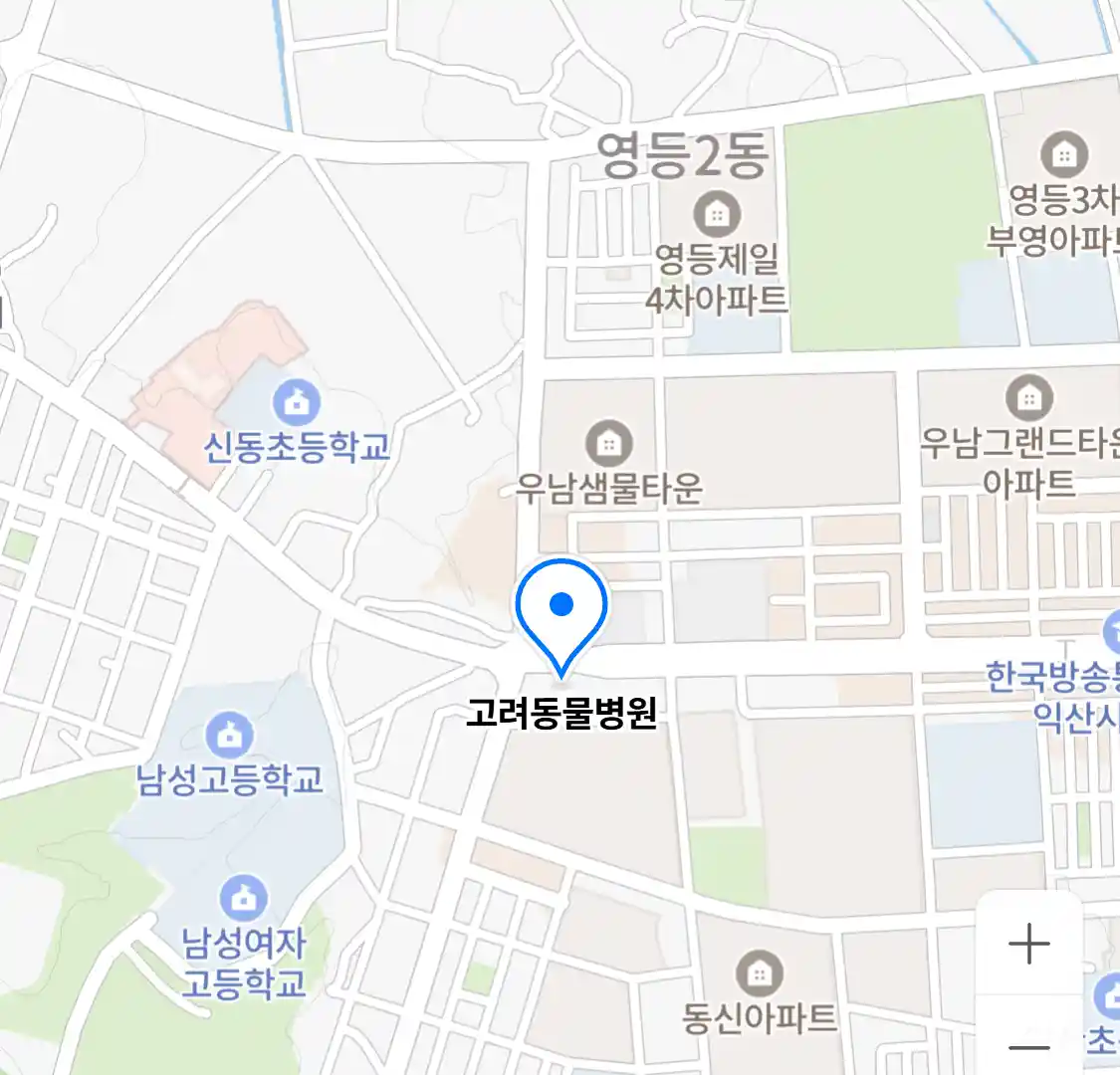 고려동물병원