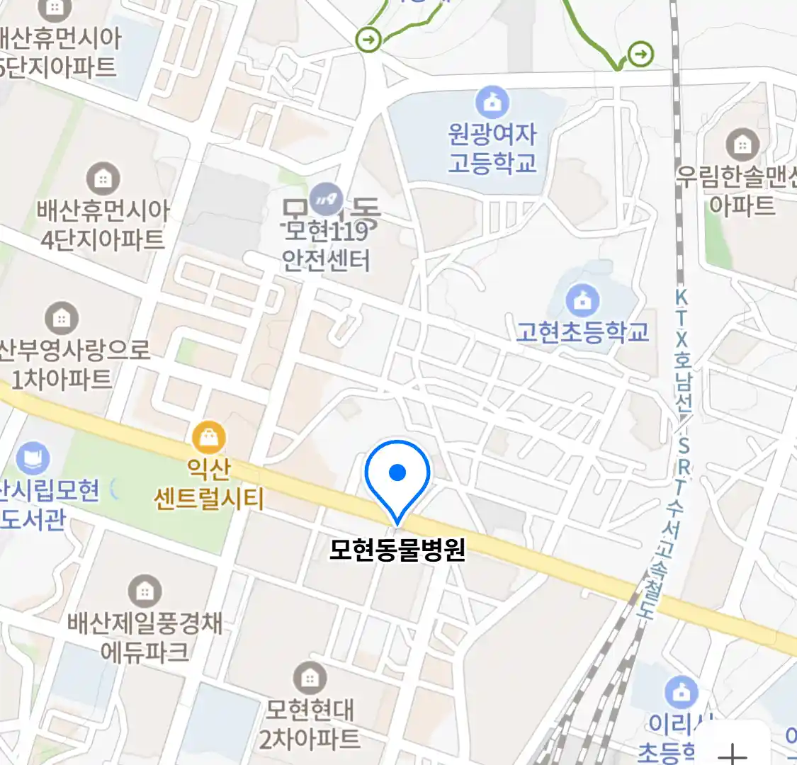 모현동물병원