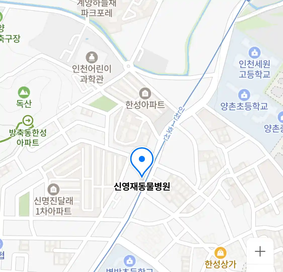 신영재동물병원