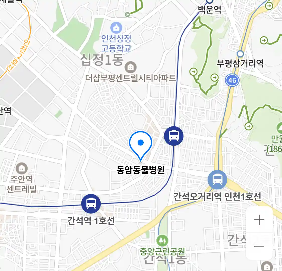 동암동물병원