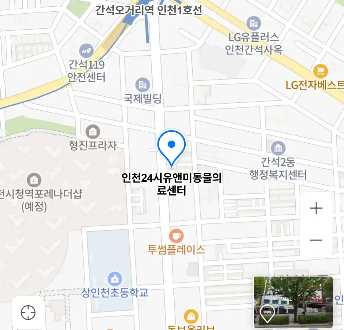 인천24시유앤미동물의료센터