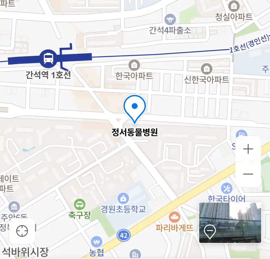 정서동물병원