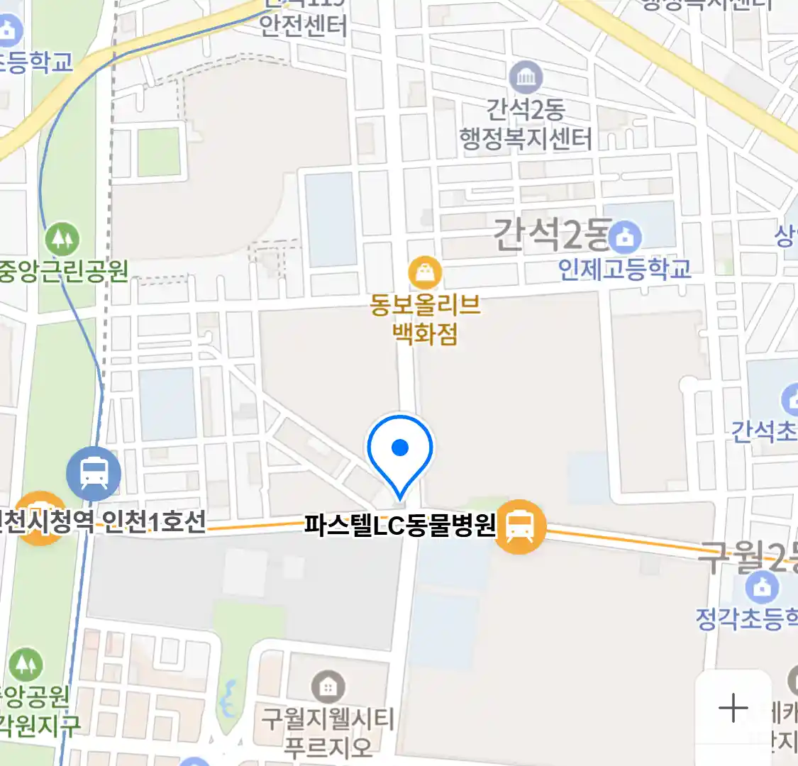 파스텔LC동물병원