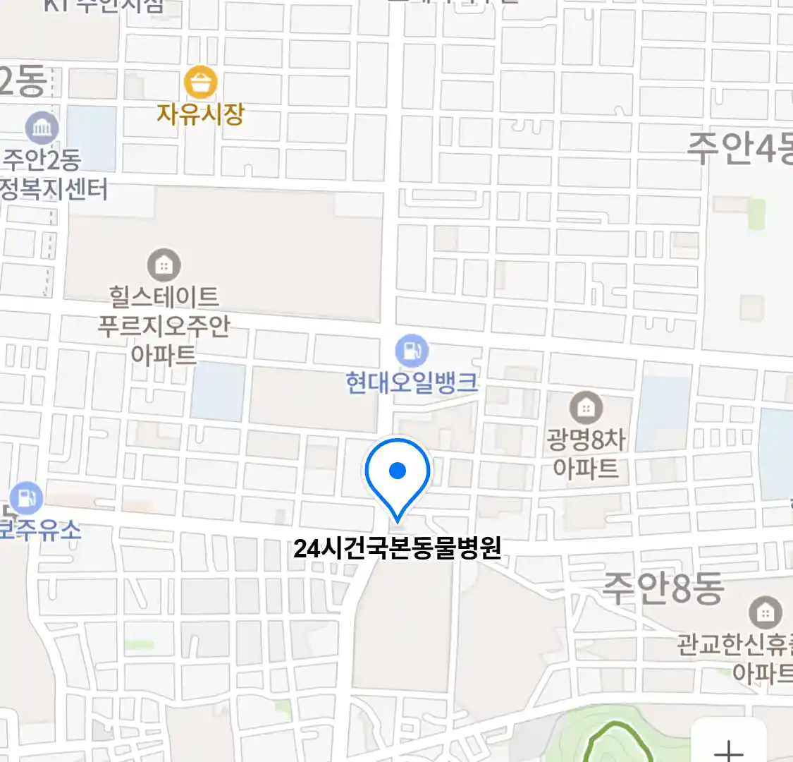 24시건국본동물병원