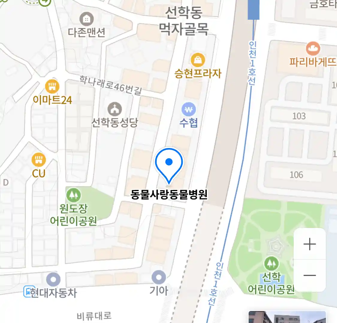 동물사랑동물병원