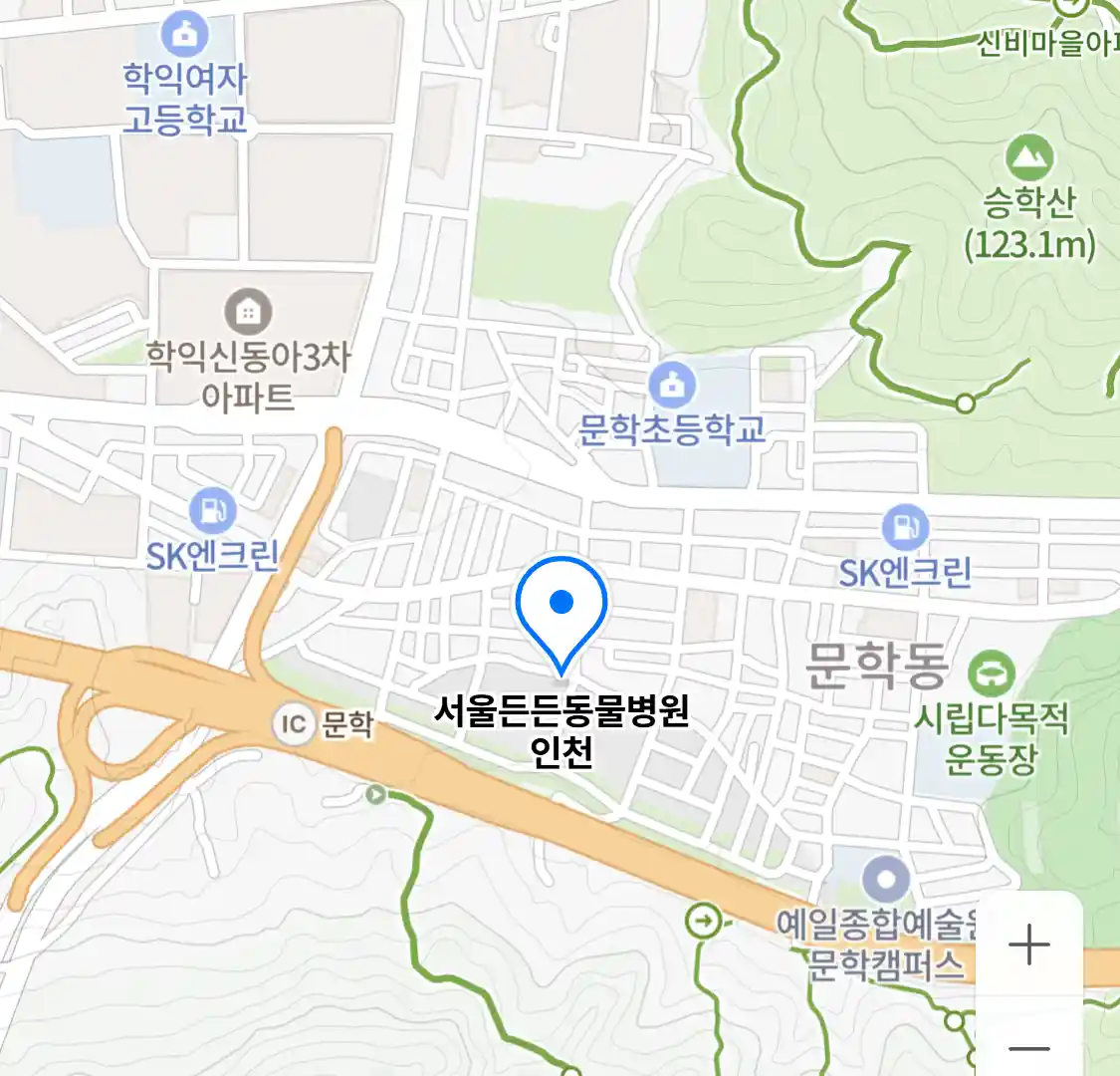 서울든든동물병원 인천