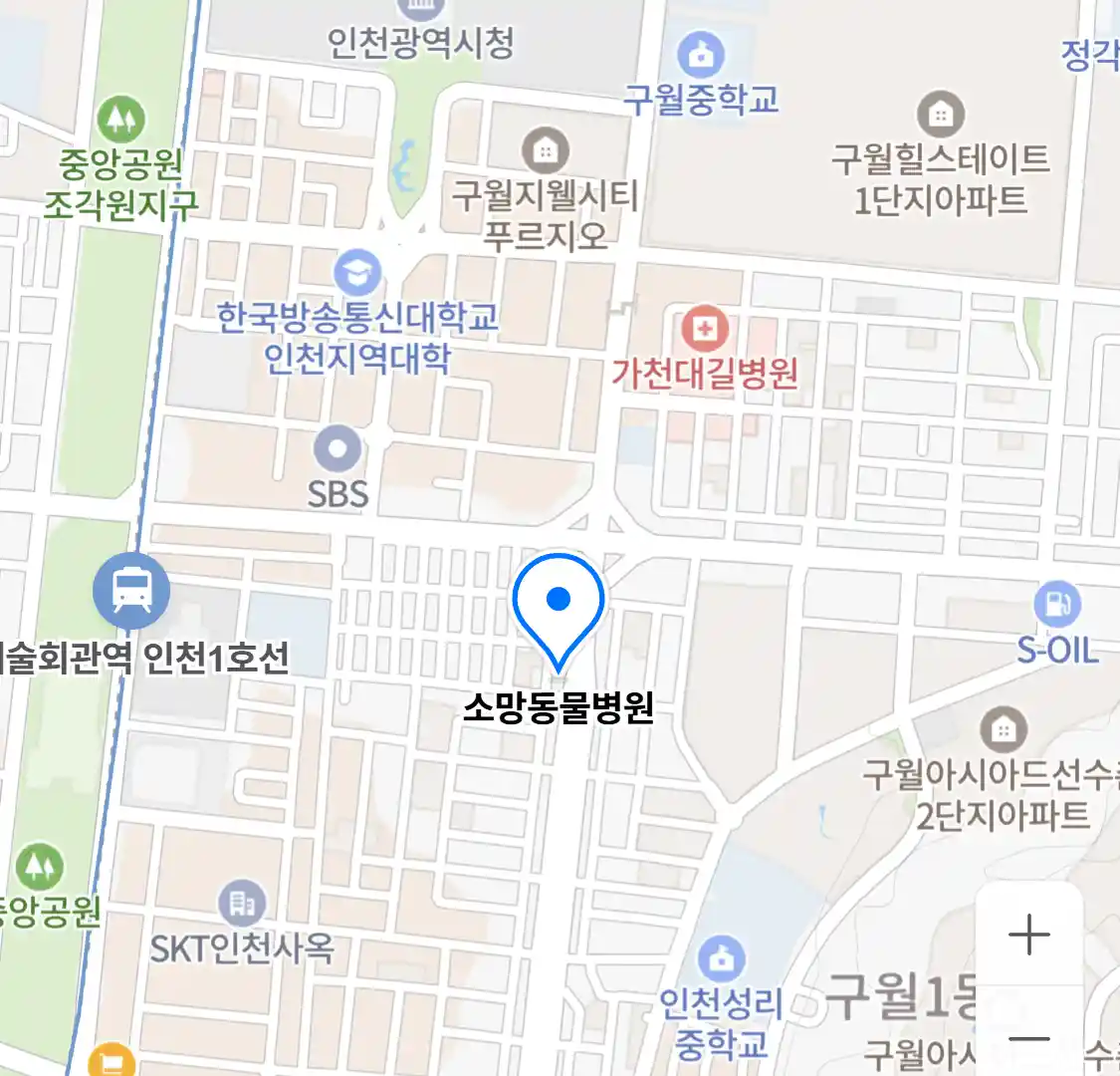 소망동물병원