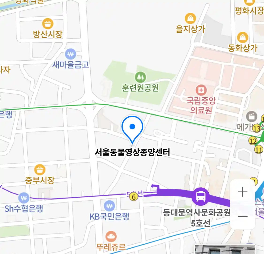 서울동물영상종양센터