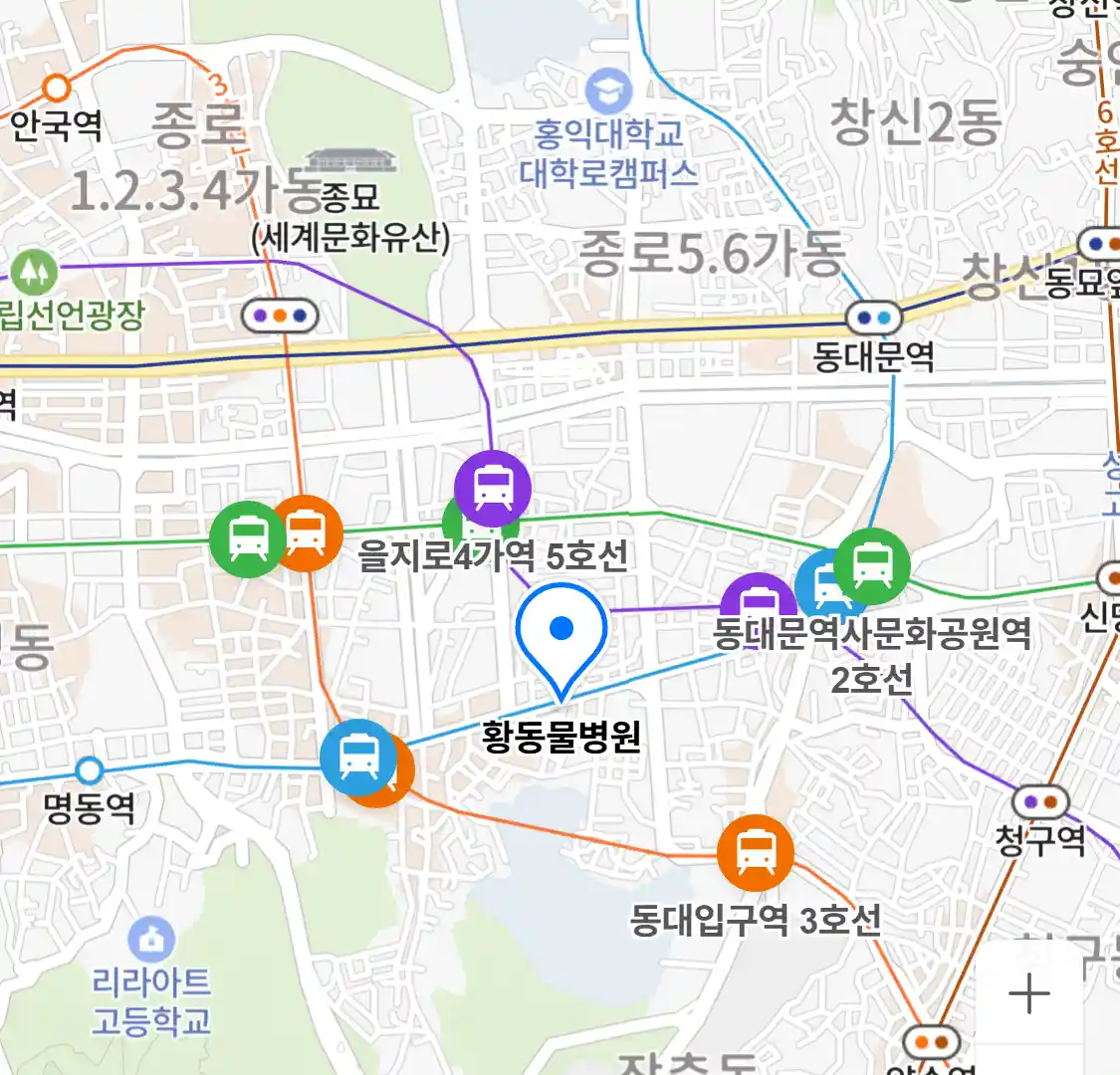 황동물병원