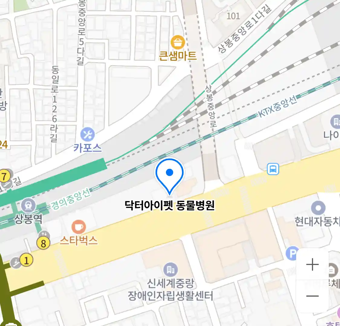 닥터아이펫 동물병원