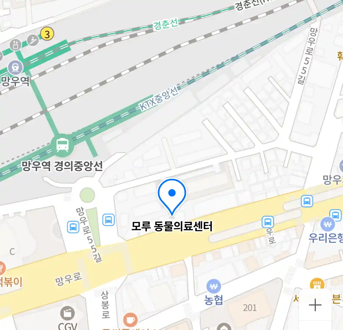 모루 동물의료센터
