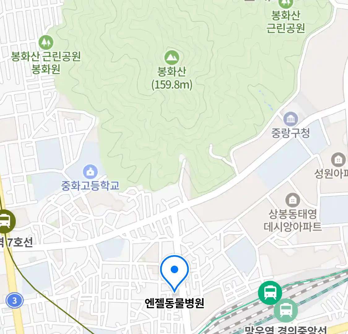 엔젤동물병원