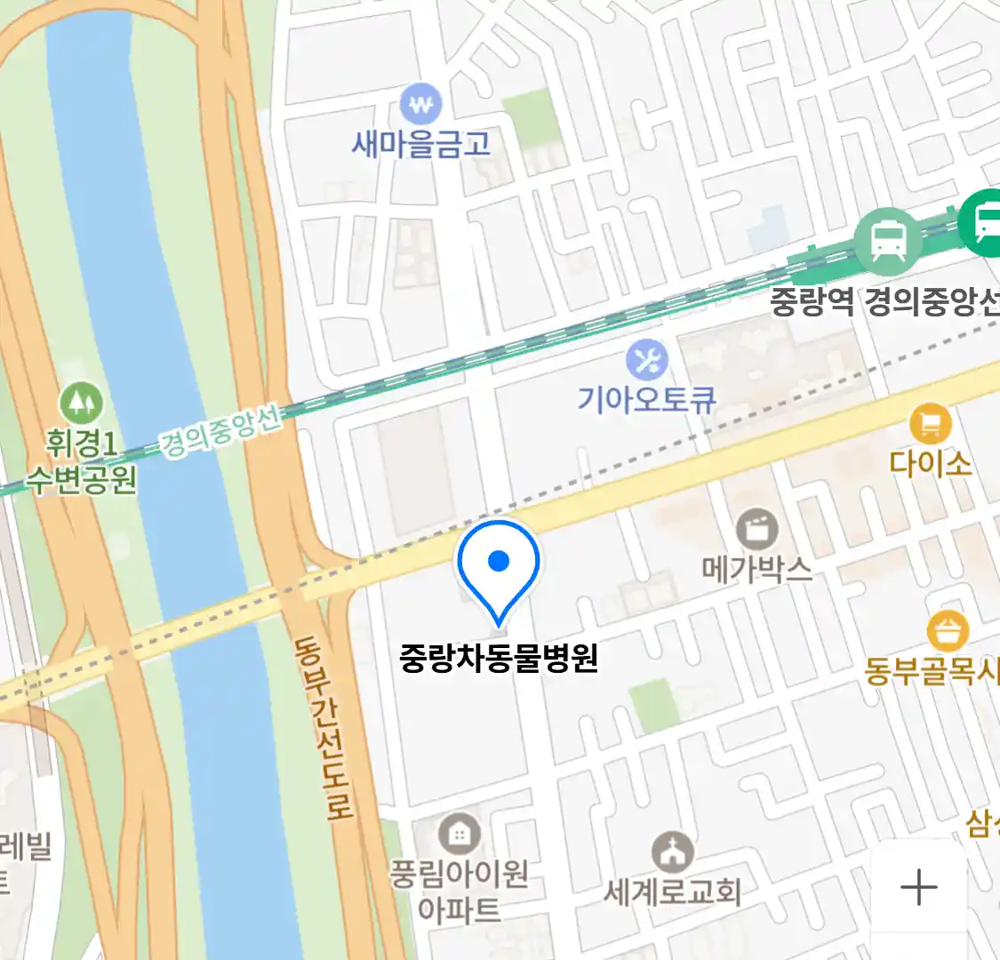 중랑차동물병원