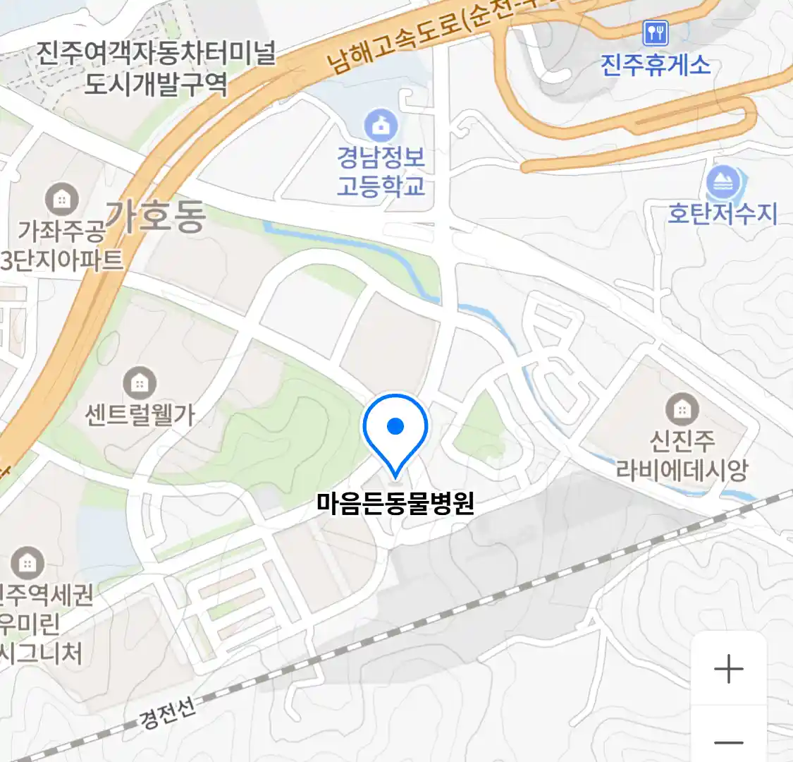 마음든동물병원