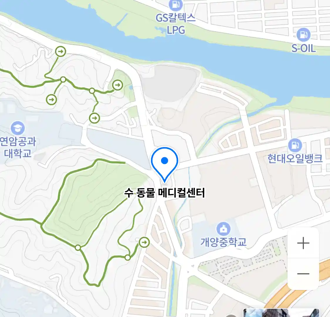 수 동물 메디컬센터