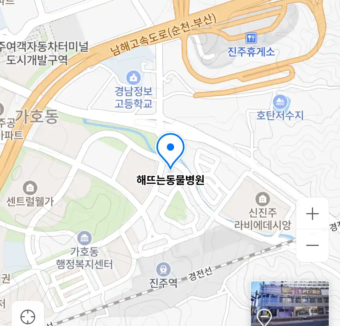 해뜨는동물병원