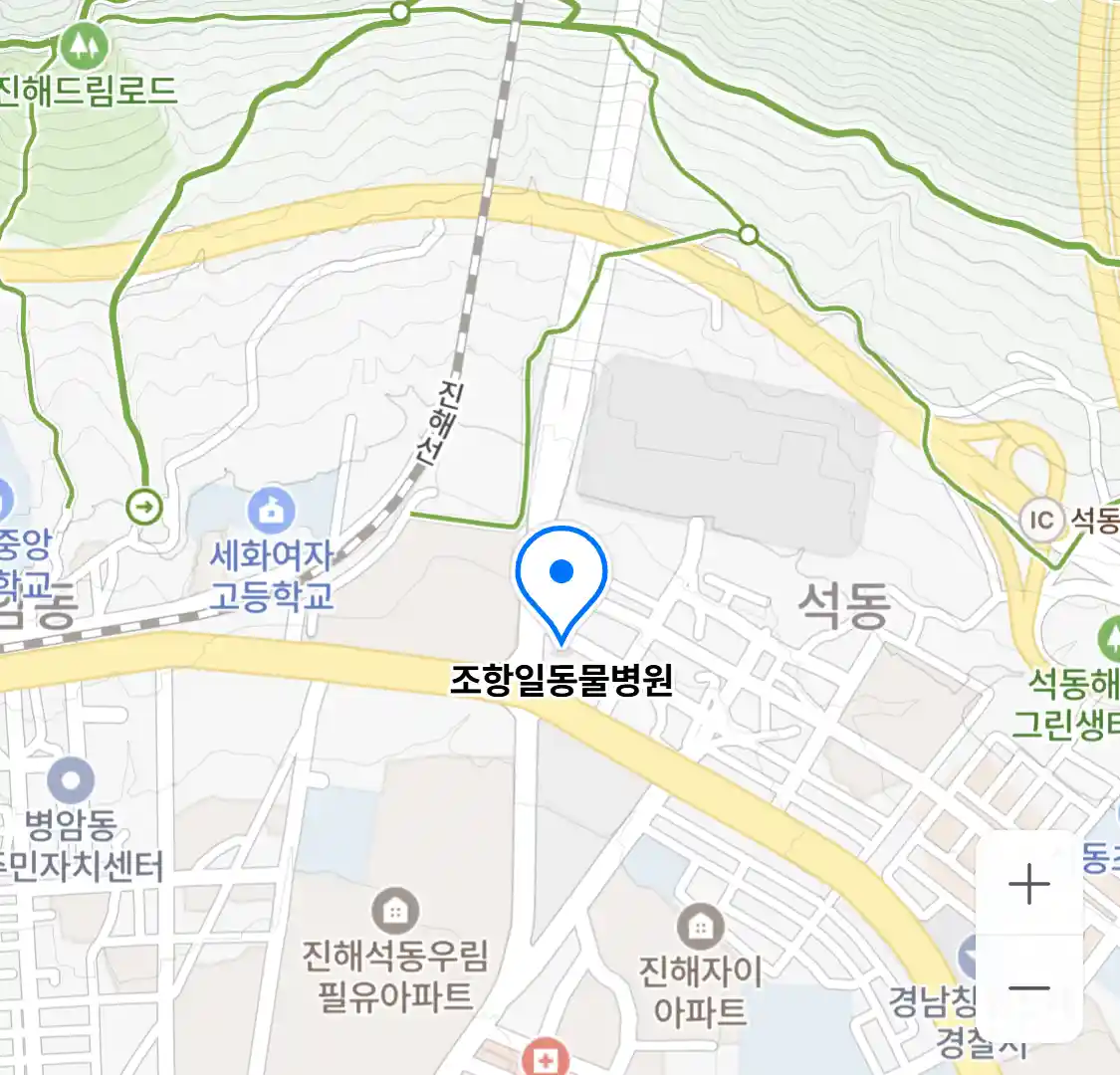조항일동물병원