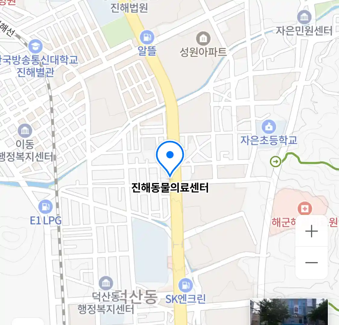진해동물의료센터