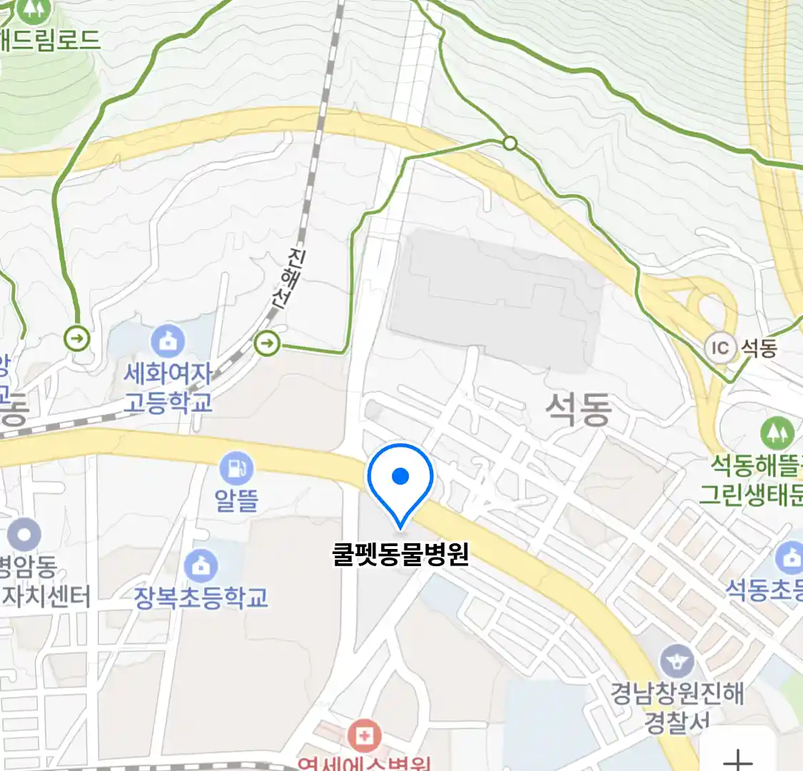 쿨펫동물병원