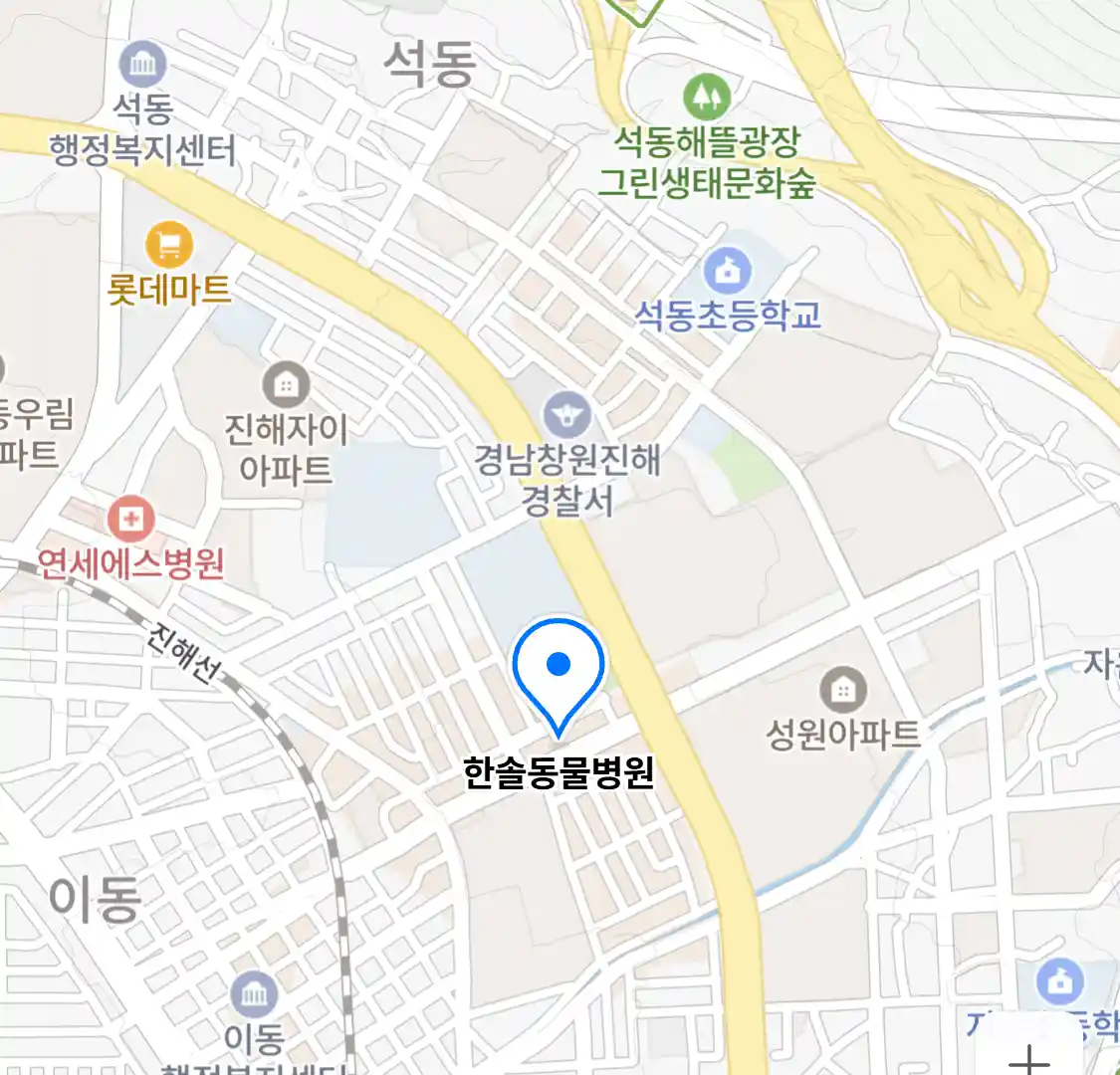 한솔동물병원